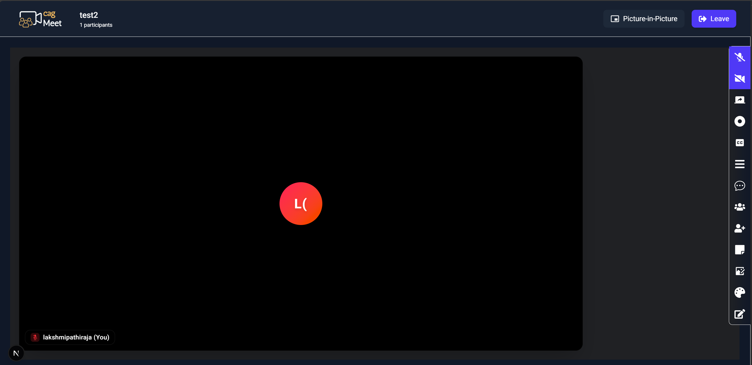 Main Platform Interface